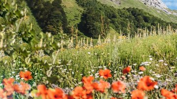 beauty biodiversity