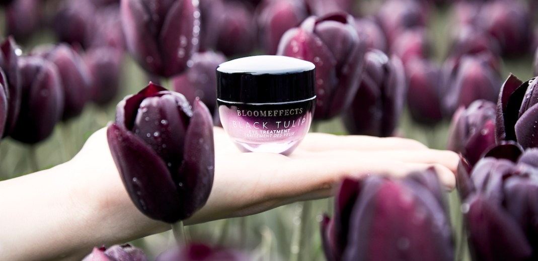 Promotional image for Bloomeffects Black Tulip Eye Treatment.