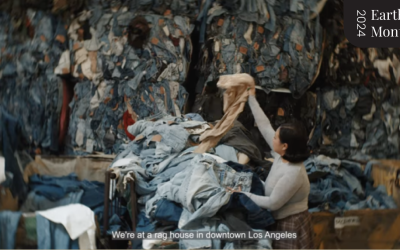 Saie debuts a docuseries to highlight its sustainability commitment