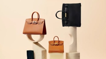 Hermes birkin earnings full year 2024