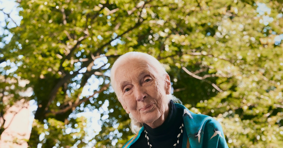 Carbon capture diamonds and Jane Goodall put Brilliant Earth ahead in the post-De Beers era