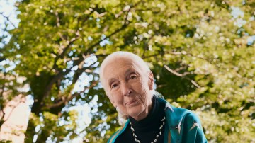 Carbon capture diamonds and Jane Goodall put Brilliant Earth ahead in the post-De Beers era